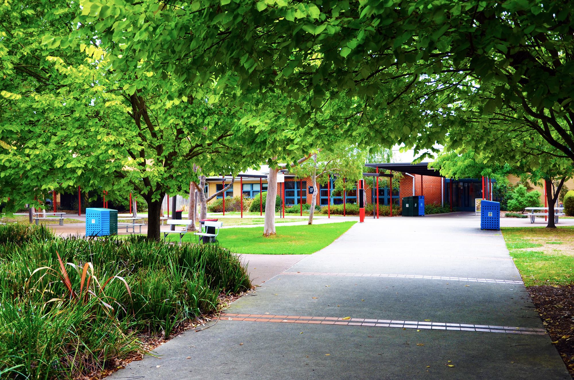 Pathway to through the garden at Croydon campus 