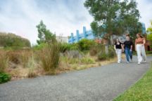 Three Indigenous students walking alongside Aunty Dot Peters AM Flowering Grasslands on Swinburne's Hawthorn campus