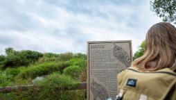 A student learning about the Aunty Dot Peters AM Flowering Grasslands on Swinburne's Hawthorn campus.