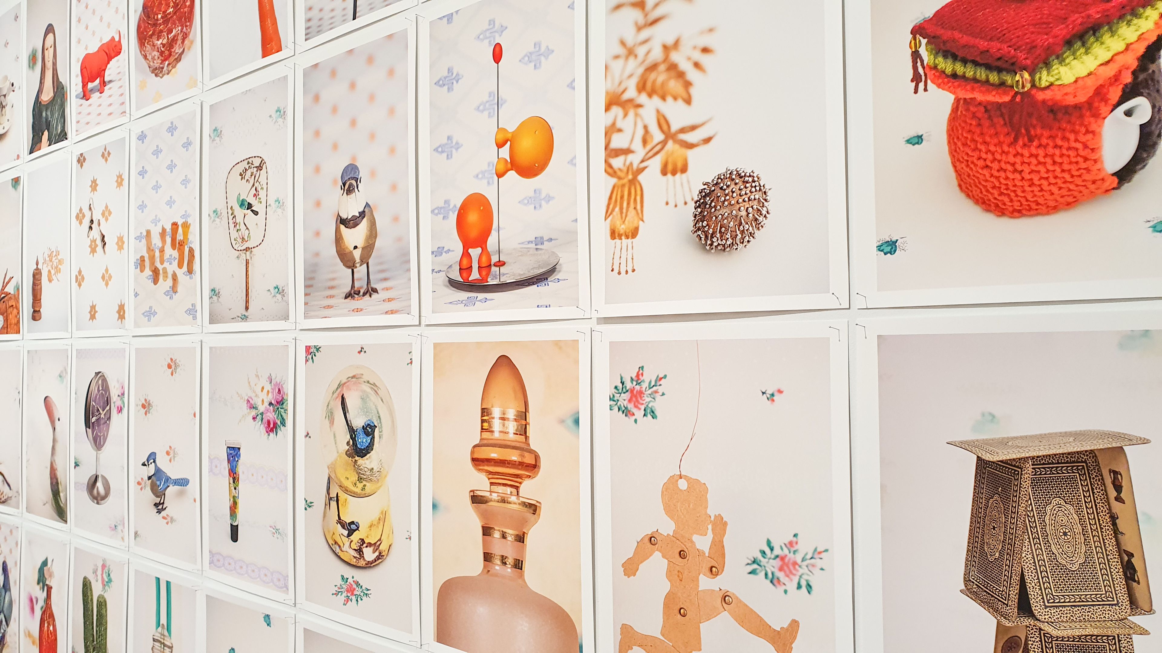A large series of a4 photographs showing quirky household objects, such as a knitted tea-cozy and blue wren slow globe, are displayed on a white wall in the Boroondara Town Hall Gallery