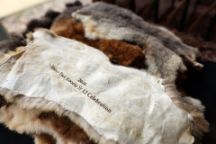 Indigenous Celebration - Swinburne