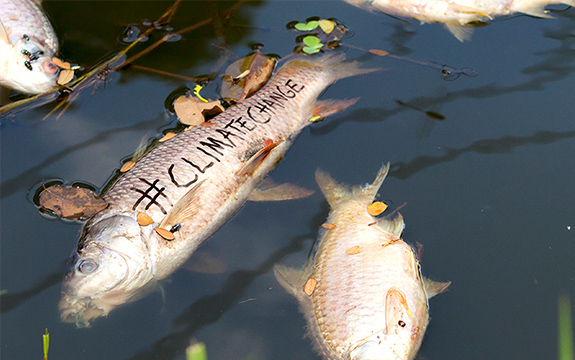 Climate change poster