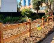 Aunty Dot Peters Flowering Grassland on Hawthorn campus