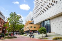 Students sitting and walking in Swinburne University’s courtyard surrounded by trees and campus buildings.