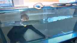 Swinburne on Scope TV