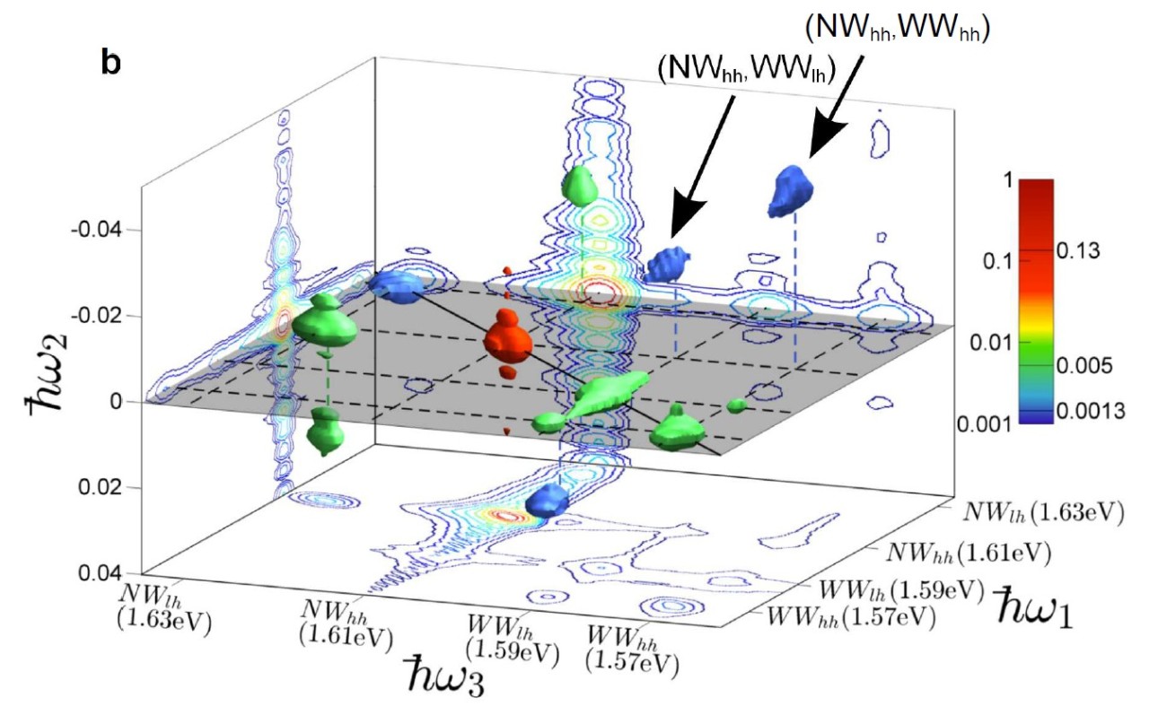Image from the Ultrafast Micro-Spectroscopy Facility