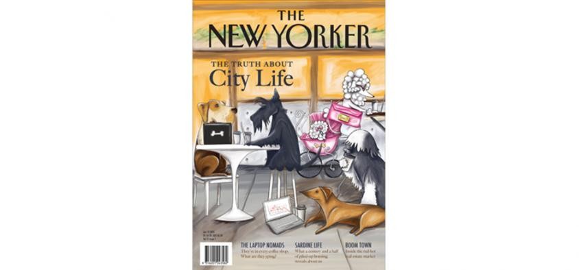 Student Work | Diploma of Graphic Design | Alex