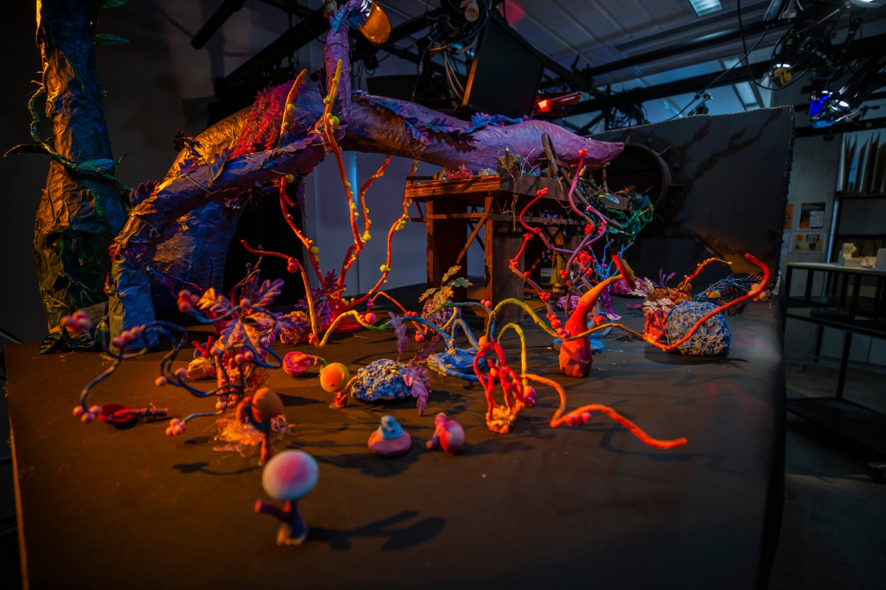 Film production space featuring an abstract multi coloured forrest set