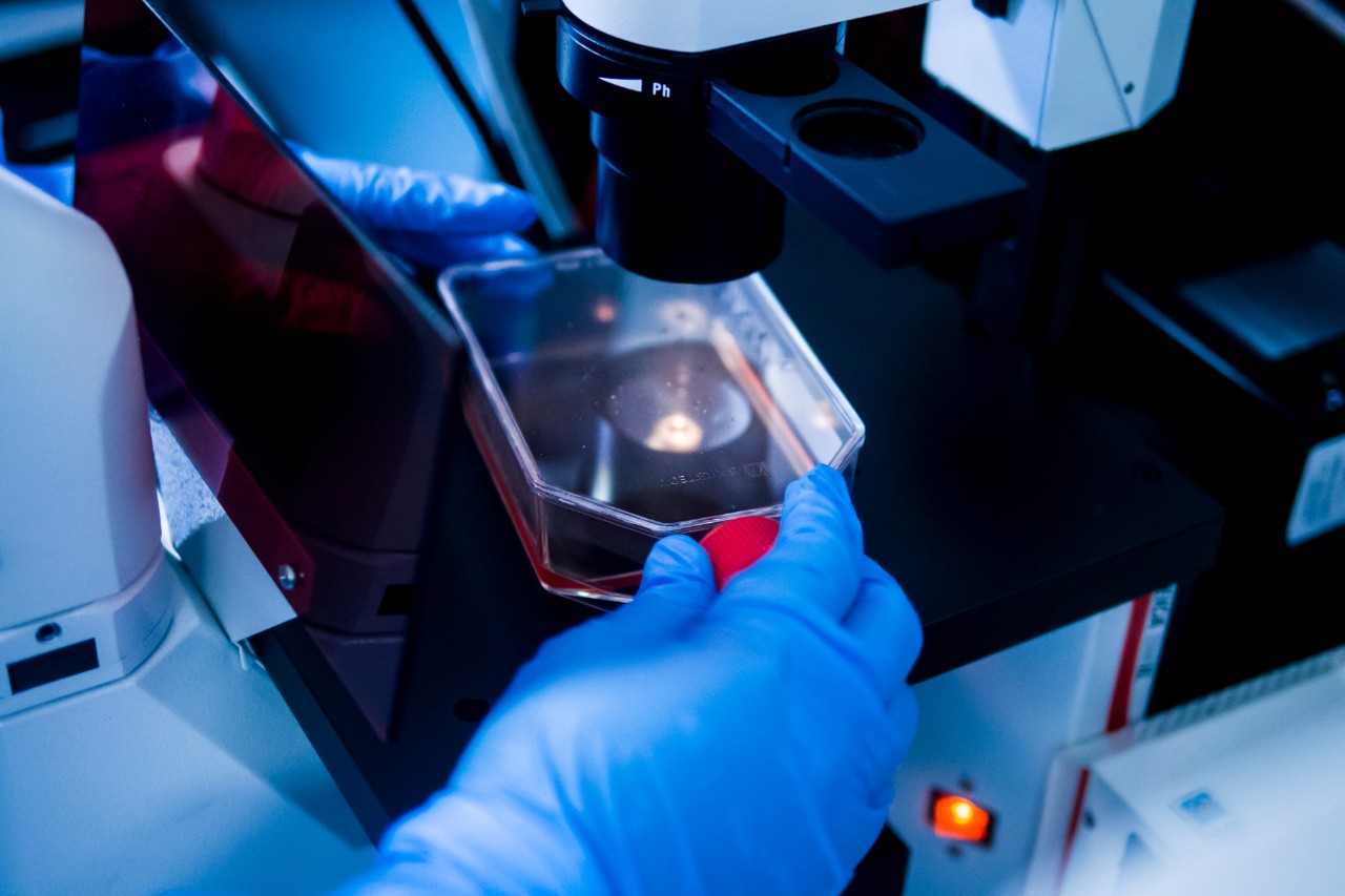 Swinburne science students hard at work in the university's laboratory facilities.